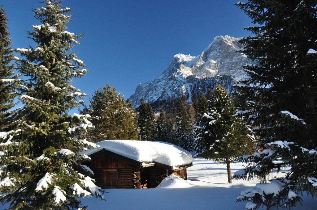 Alpen Hotel
